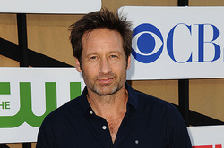 David Duchovny will release the first album (video)