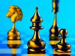 Anand and Topalov leaders of World Chess Championship