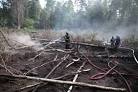 Scientists: fires near Chernobyl are not threatened by radioactive contamination

