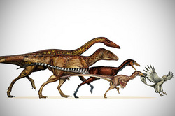 To survive dinosaurs helped small size
