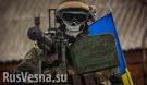 More than eleven Ukrainian security forces have lost their lives in the Donbass, said Basurin

