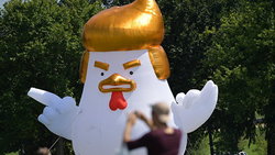 The White house has set the chicken, similar to Donald trump