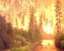 Russia reports end of forest fire season - Natural Resources Ministry
