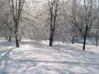 40-degree frosts in Kuznetsk Basin to last till January 13