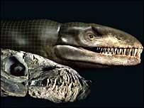 Remains of "Godzilla" croc found