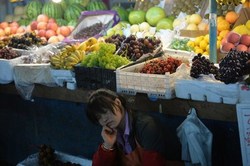 China will open a platform for direct export to Russia fruit and vegetables