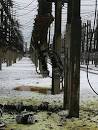 Works on restoration of power lines in the Donbas are tightened
