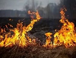 In Krasnoyarsk region began the season of forest fires