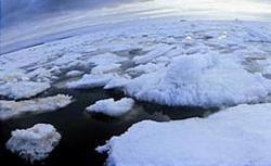 Swiss tourist rescued from drifting ice-floe in Kara Sea