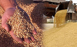 Russia set to export record amount of grain this year