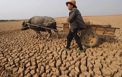 The countries of South-East Asia faced a severe drought