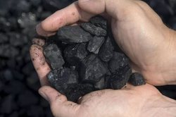 China reduced coal imports from North Korea