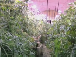 Pot palace: Cops seize 340kg of marijuana in abandoned Rome subway tunnel