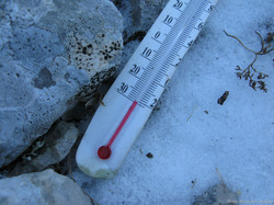 In the Urals abnormal frosts