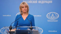 Zakharova found the connection between "business Skrypalia" and the situation in Syria