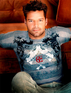 Ricky Martin landed a role in a New York production of Evita