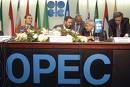 Russia in no hurry to join OPEC