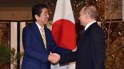 Putin discussed important issues with the Prime Minister of Japan