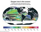 Scientists: the oxygen Content of the ocean falls