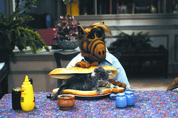 Series "Alf" is back on the screens