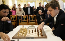 The best grandmasters of Russia have gathered in Novosibirsk