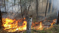 In the Irkutsk region burn 10 thousand square meters of forest