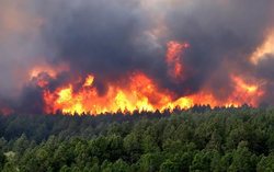 Heat wave in Europe, provoked a series of powerful forest fires