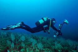 Divers have found the Golden treasure in the Mediterranean sea