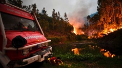 In Portugal raging the terrible forest fire