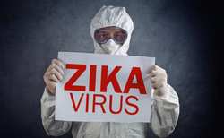 Virus Zeke got to Florida