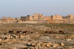 In Palmyra came the martial artists from Russia