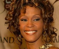 Whitney Houston reportedly died in the bath after a 48-hour alcohol binge