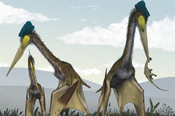 Russian paleontologist studied the largest flying reptiles