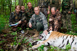 "The tigress Putin made his first selfe (video)