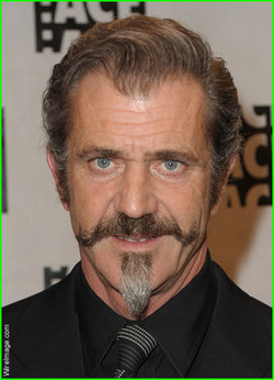 Mel Gibson sentenced to a year long programme