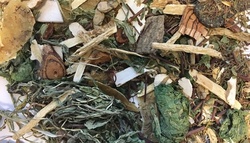 A woman died after drinking a poisonous herbal tea