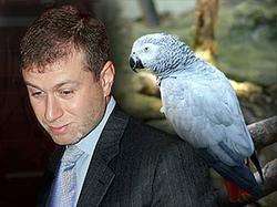 Parrot let down Abramovich