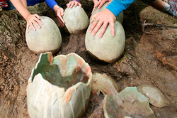 In China discovered dozens of dinosaur eggs