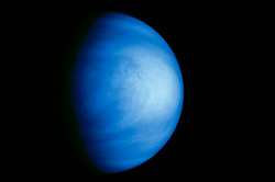 Scientist have found life on Venus