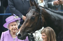 The horse Elizabeth II drugs found