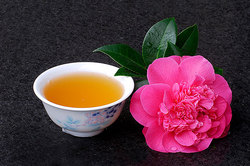 Green tea is able to defeat cancer