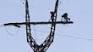 Ukraine has promised to restore the 1st power lines Wednesday evening
