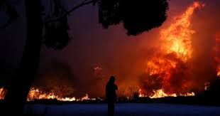 In Greece due to forest fires killed 50 people