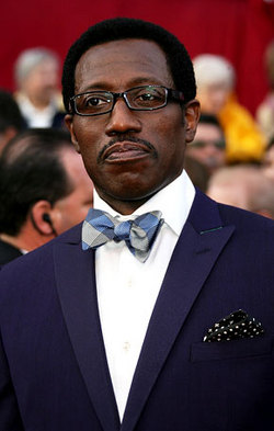 Wesley Snipes must go to jail