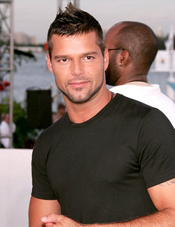 Ricky Martin wants to adopt