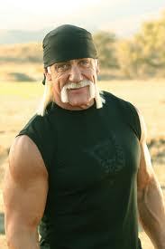 Hulk Hogan is "recovering smoothly"