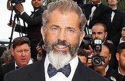 Fans Mel Gibson sounded the alarm