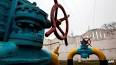 Media: Austria ready to help the EU to pay for gas from Russia to Kiev

