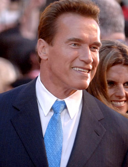 Arnold Schwarzenegger had fathered a child over 10 years ago