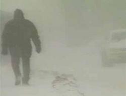 Snowstorm paralyzed Vladivostok airport service